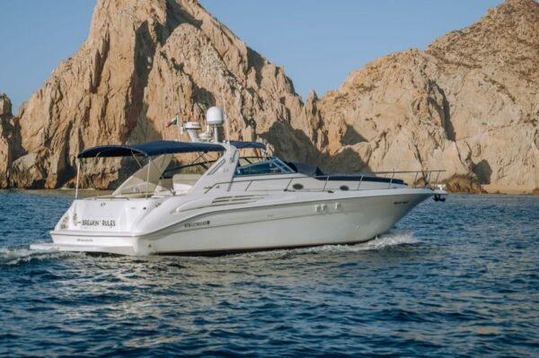 SeaRay 45 FT